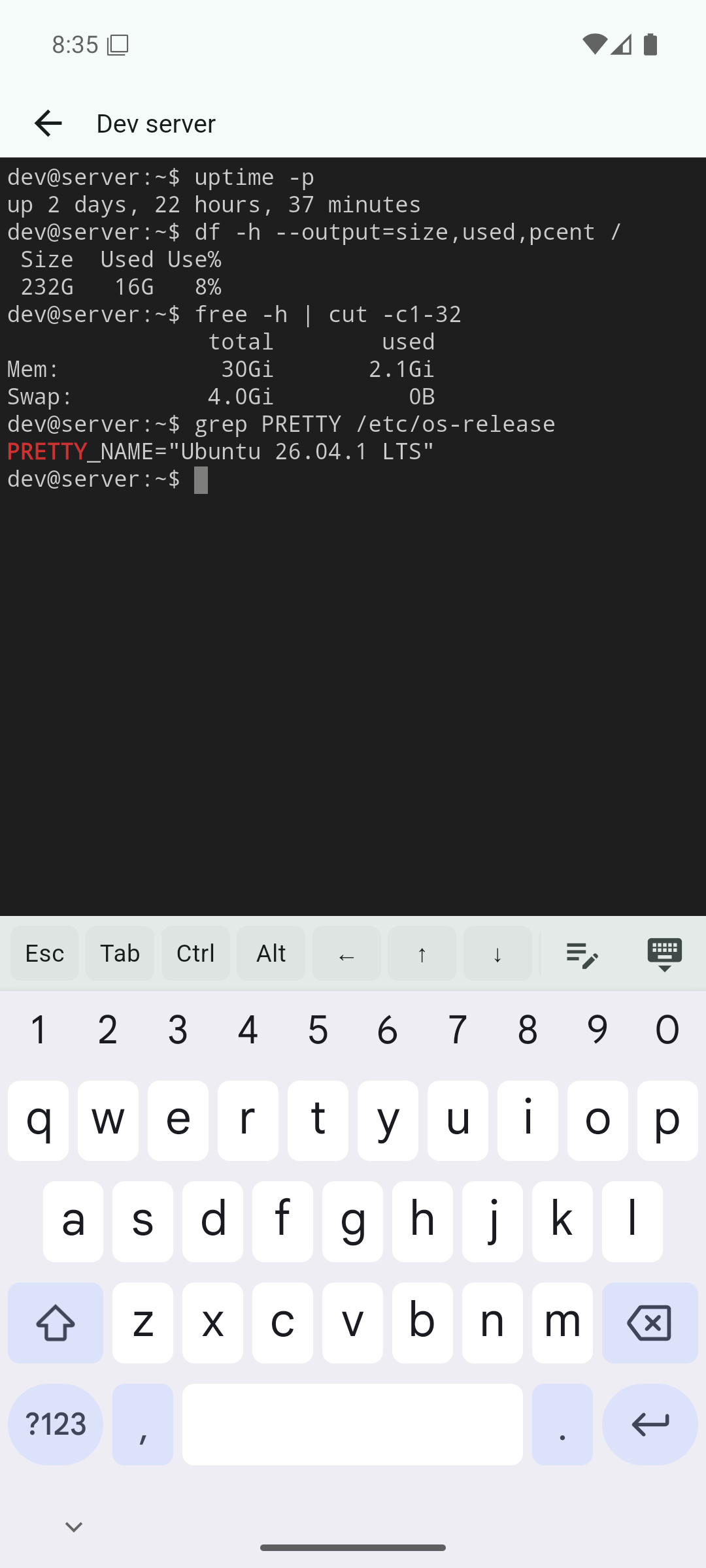 Terminal TermNest với bàn phím mở